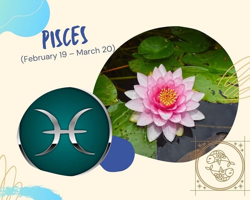 Zodiac Flowers Part 2